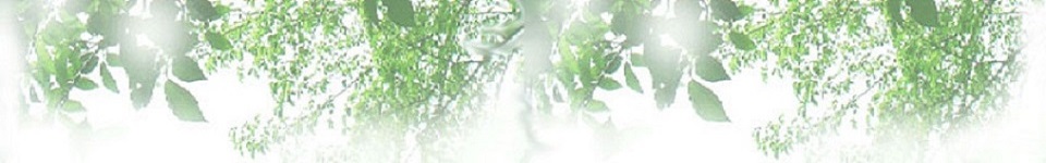 新緑